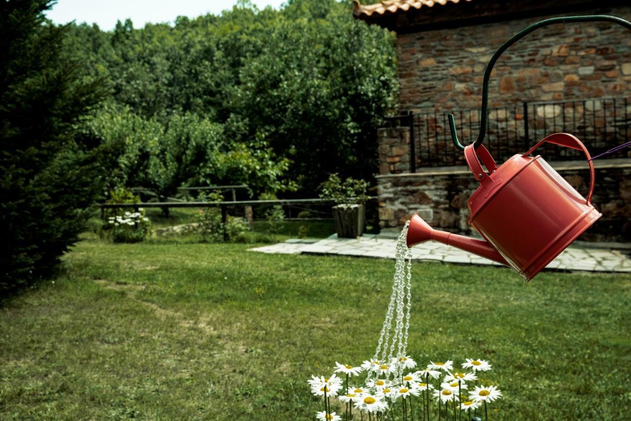 Guesthouse Rodamos Taxiarkhis  Exterior photo